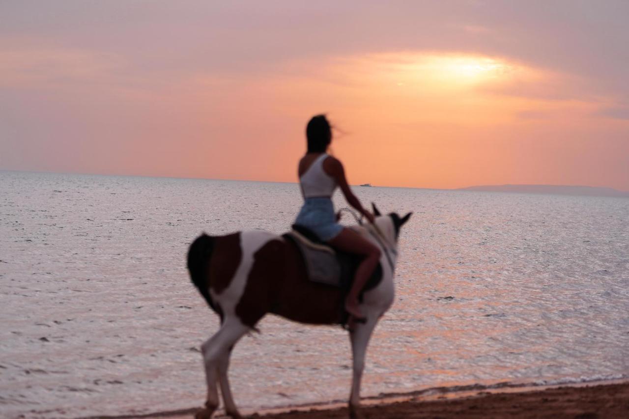 Курортный комплекс Dawar El Omda (adults Only)